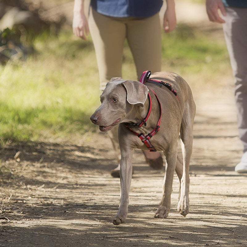 HALTI Walking Harness - Lightweight Dog Harness with Handle, Reflective & Adjustable, Ideal for Puppy Walks, Suitable for Medium Dogs and Puppies (Size M, Red) - Image 2